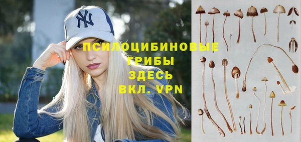 2c-b Верхнеуральск